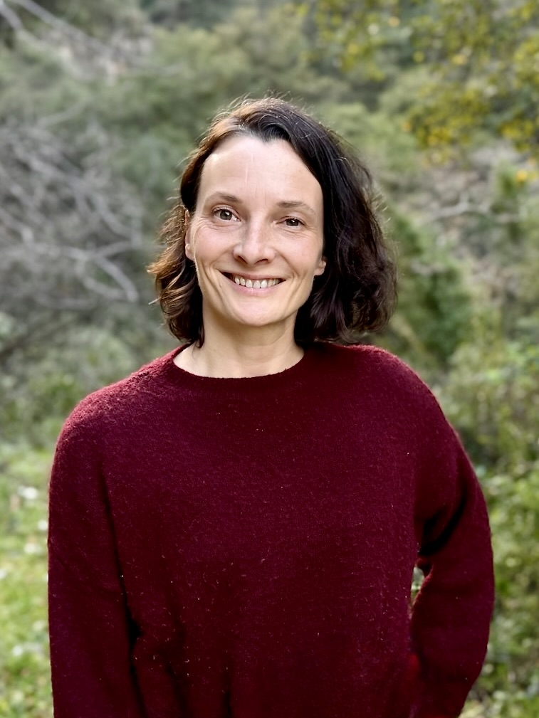 Petra Sailer